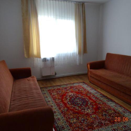 Papp Apartman Sovata Εξωτερικό φωτογραφία